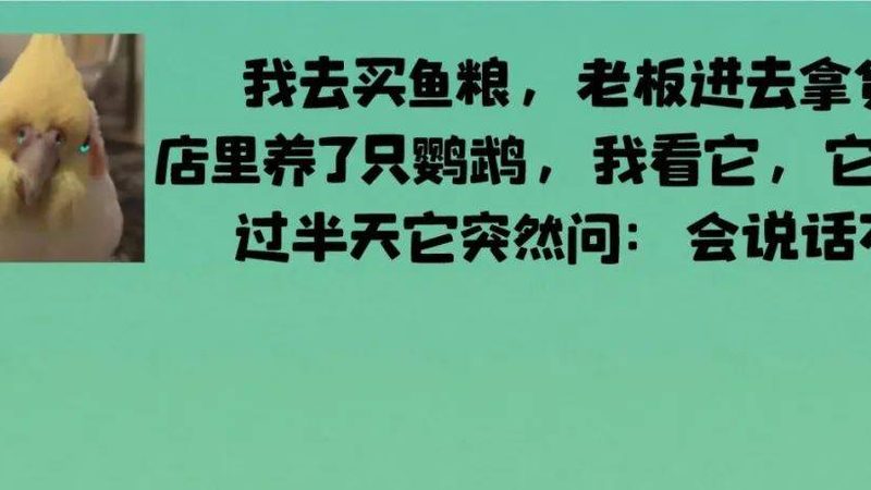 上海食品招商代理公司报价